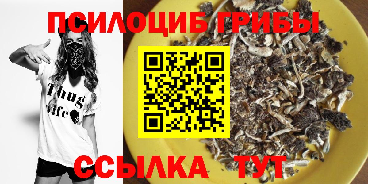 Чебоксары  где найти   Вход с VPN  Псилоцибиновые грибы MAGIC MUSHROOMS 