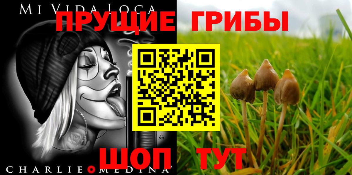 Галлюциногенные грибы GOLDEN TEACHER Чебоксары